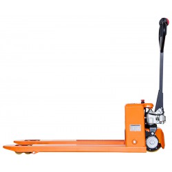 paleciak elektryczny bok