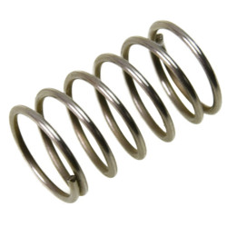 Sprężyna przycisku...