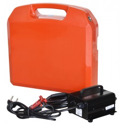 paleciak elektryczny z baterią i ładowarką